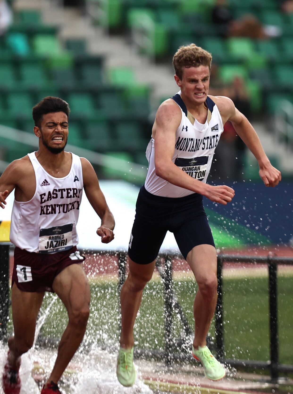 Duncan Hamilton steeplechase